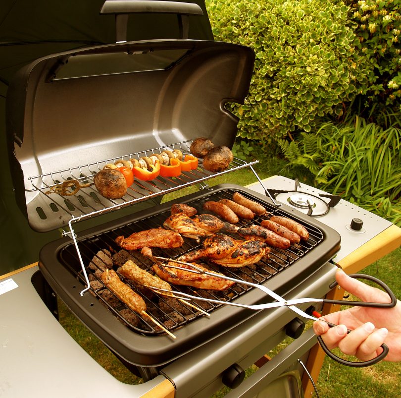 Grilling 101: How to Choose the Right Grill for You - FlexBlog ...