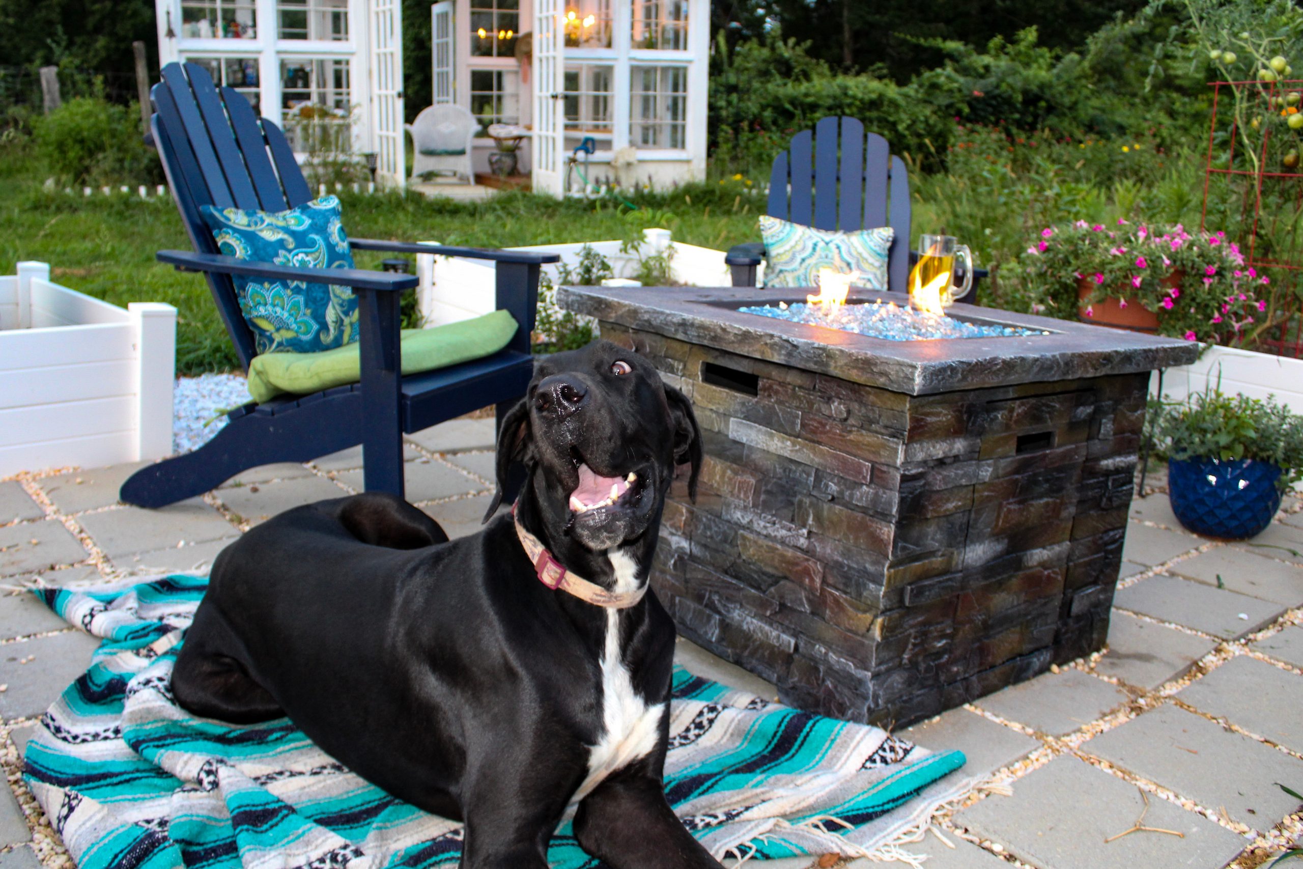 Dog sitting by the firepit 