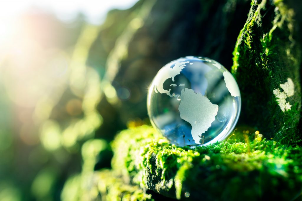 Glass globe sitting on green moss in the sunlight